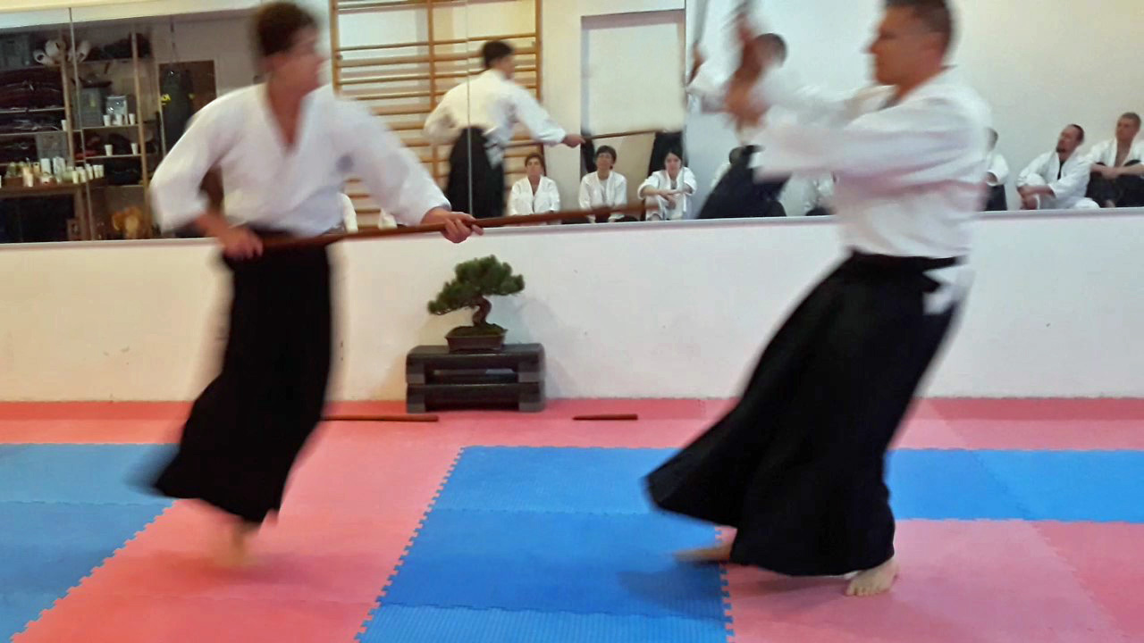 Aikido Hechingen